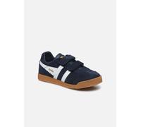 Gola Baskets basses enfant HARRIER VELCRO in Bleu 34