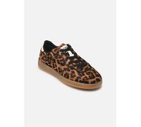 Baskets basses femmes HOFF ALLEY LEOPARD WOMAN Marron 36