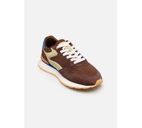 Baskets Hoff CITY DOPAMINE W pour Femme 37 Marron