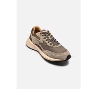 Baskets Hoff CITY MKII M pour 44 Marron