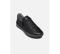 Baskets Josef Seibel Claire 13 pour Femme 36 Noir