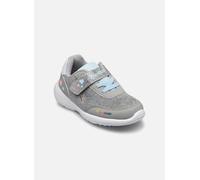 Baskets Kangaroos KY-Match EV pour Enfant 21 Gris