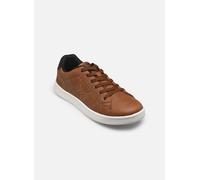 Baskets Kaporal Darly pour Homme 43 Marron