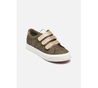 Baskets Kaporal TIPPYK pour Femme 38 Vert