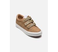 Basket Basse à Scratch Kaporal Tippy - Camel 40