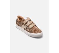 Baskets Kaporal Toundra pour Femme 38 Beige