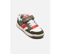 Baskets Kickers KICKARTING pour Enfant 32 Vert