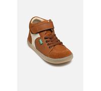 Baskets Kickers Kickbaryl pour Enfant 32 Marron