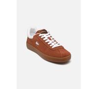 Baskets Lacoste Baseshot M pour Homme 40 Marron