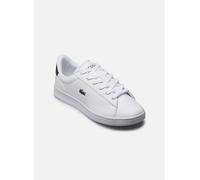 Baskets Lacoste CARNABY SUJ pour Enfant 38 Blanc