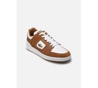Baskets Lacoste Court Cage M pour Homme 41 Marron
