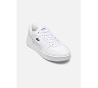 Baskets Lacoste T-Clip Set 224 Femmes