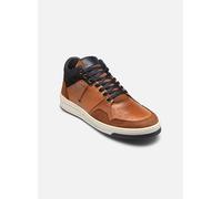 Baskets Marvin&Co Wolenn pour Homme 46 Marron