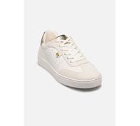 MICHAEL Michael Kors Baskets basses 'SCOTTY' or / blanc, Taille 36