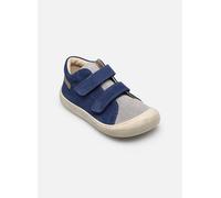 Baskets Naturino Barefoot Amur VL pour Enfant 24 Bleu