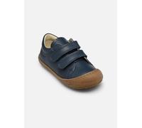 Baskets Naturino Cocoon Low VL pour 23 Bleu