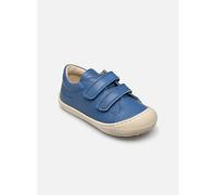 Baskets Naturino Cocoon Low VL pour Enfant 20 Bleu