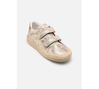 Baskets Naturino Eindhoven 2 VL. pour Enfant 20 Or et bronze