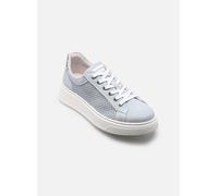 Baskets NeroGiardini E615273D pour Femme 39 Bleu