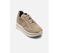 Baskets NeroGiardini I514105D pour Femme 38 Beige