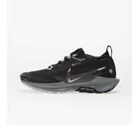 Baskets Nike W Pegasus Trail 5 Gtx Black/ Wolf Grey-Cool Grey-Anthracite-Reflect Silver EUR 40