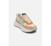 Baskets basses femmes No Name CARTER JOGGER W Multicolore 39