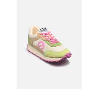 Baskets No Name Punky Jogger pour 38 Multicolore