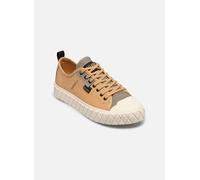 Palladium – Baskets basses hommes Palla Ace HTG Supply – Beige – Taille 44