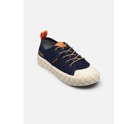Baskets Palladium Palla Ace Kids pour 28 Bleu