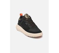 Baskets Palladium PALLAFLEX LO MIX pour Homme 43