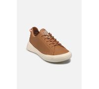 Palladium Baskets basses 'Pallanova' marron, Taille 36