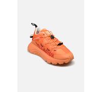 Baskets Palladium THUNDER LITE PHANTOM W pour Femme 37 Orange