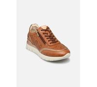 Baskets basses femmes Pikolinos CANTABRIA W4R Marron 37