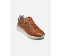 Baskets Pikolinos CANTABRIA W4R pour Femme 42 Marron