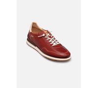 Baskets Pikolinos DENIA W0A-6842C2 pour Femme 39 Marron
