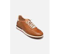 Baskets Pikolinos DENIA W0A-6842C3 pour Femme 38 Marron