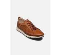 Baskets Pikolinos FUENCARRAL M4A-6376C1 pour Homme 44 Marron