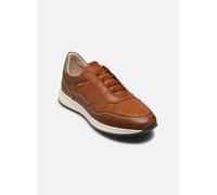 Baskets Pikolinos GETAFE M2B-6284C1 pour Homme 42 Marron
