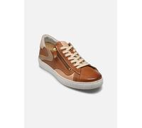 Baskets Pikolinos LANZAROTE W7B-6978C3 pour Femme 36 Marron