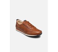 Baskets Pikolinos LIVERPOOL M2A-6252 pour Homme 44 Marron