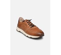 Baskets Pikolinos MOLINOS M8B-6384C1 pour Homme 45 Marron