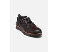 Pikolinos Chaussures à Lacets en Cuir Vigo pour Homme Color Olmo