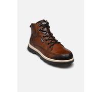 Baskets Pikolinos Vigo M3M-8107C1 pour Homme 44 Marron
