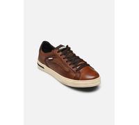 Baskets Pikolinos Xativa M1K-6307C1 pour Homme 42 Marron