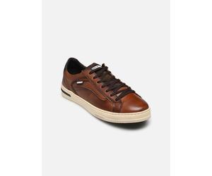 Baskets Pikolinos Xativa M1K-6307C1 pour Homme 43 Marron