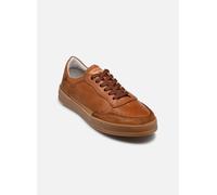 Baskets Pikolinos XATIVA M1K-6383C1 pour Homme 45 Marron