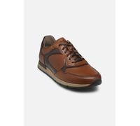 Baskets Pius Gabor CAULI pour Homme 40 Marron