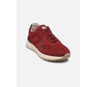Baskets Pius Gabor COVER pour Homme 39 Rouge