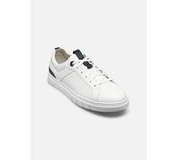 Baskets Pius Gabor Mons pour Homme 40 Blanc