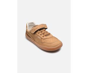 Baskets Primigi B&G SIGN - Barefoot pour Enfant 27 Marron